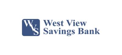WVS Financial